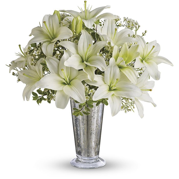 Written in the Stars