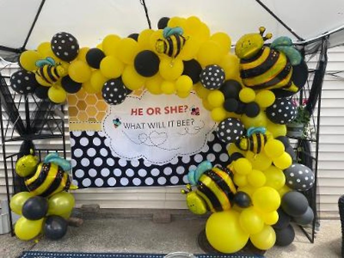 Bee Arch Balloon Decor
