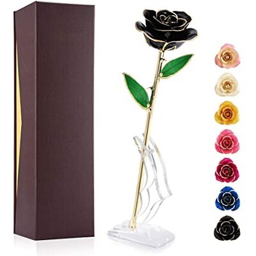 24K Gold Rose