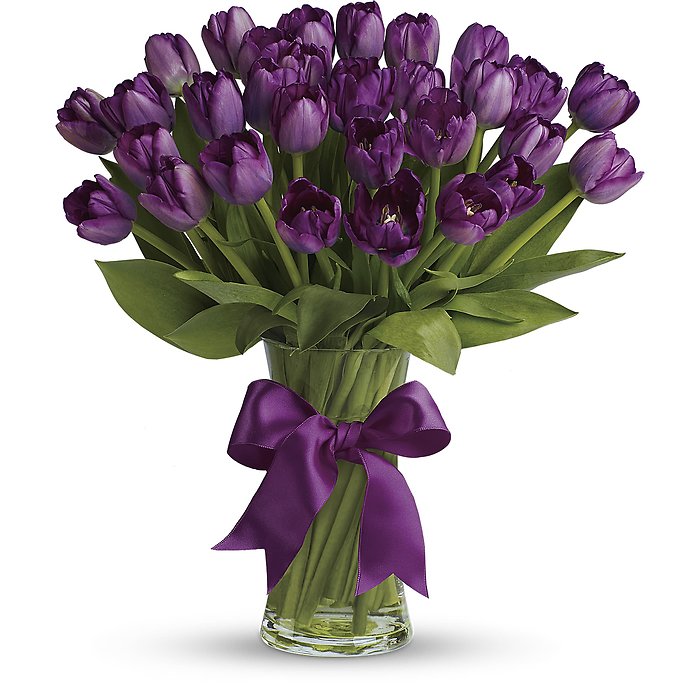 Passionate Purple Tulips