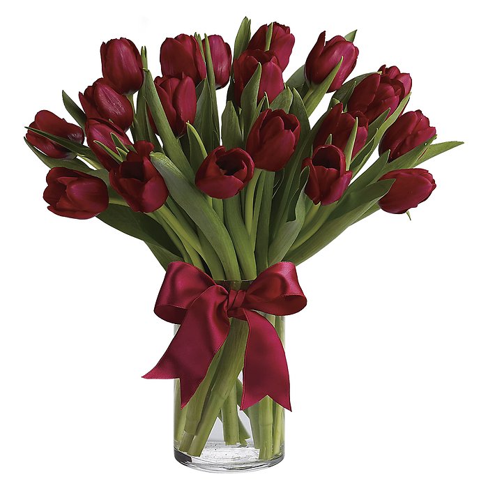 Radiantly Red Tulips