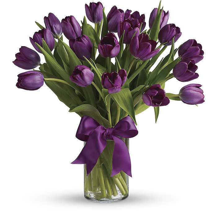 Passionate Purple Tulips