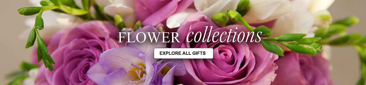 Shop by occasion